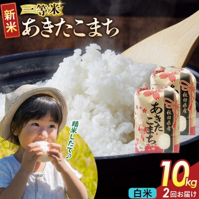 定期2ヶ月 白米 あきたこまち 一等米 10kg 秋田県 R8年|22_kml-011002s
