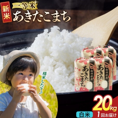 白米 あきたこまち 一等米 20kg 秋田県 R8年|22_kml-012001s