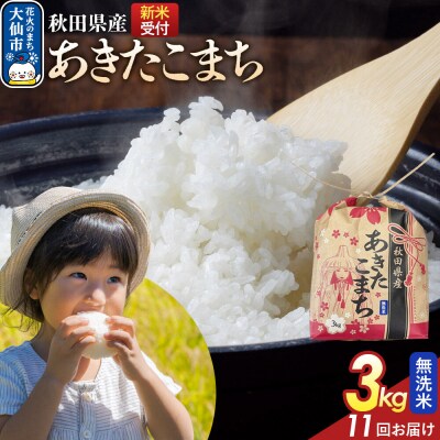 定期便11ヶ月 あきたこまち無洗米 3kg 秋田県産 令和8年産|22_kml-020311s