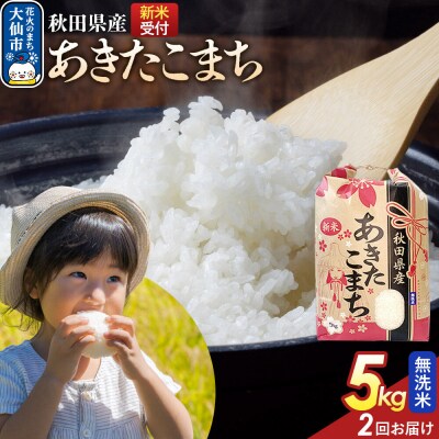 定期便2ヶ月 無洗米 あきたこまち 5kg 秋田県産 令和8年産|22_kml-020502s