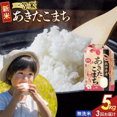 定期3ヶ月 無洗米 あきたこまち 一等米 5kg 秋田県 R8年|22_kml-020503s