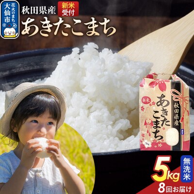 定期便8ヶ月 無洗米 あきたこまち 5kg 秋田県産 令和8年産|22_kml-020508s