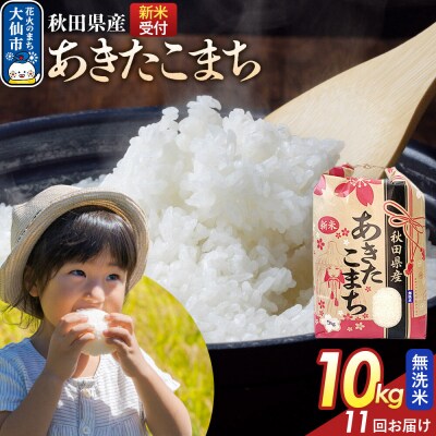 定期便11ヶ月 無洗米 あきたこまち 10kg 秋田県産 令和8年産|22_kml-021011s