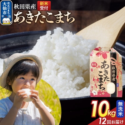 定期便12ヶ月 無洗米 あきたこまち 10kg 秋田県産 令和8年産|22_kml-021012s