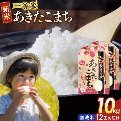 定期12ヶ月 無洗米 あきたこまち 一等米 10kg 秋田県 R8年|22_kml-021012s