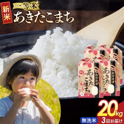 定期3ヶ月 無洗米 あきたこまち 一等米 20kg 秋田県 R8年|22_kml-022003s