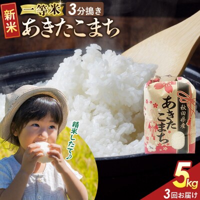 定期3ヶ月 3分搗き あきたこまち 一等米 5kg 秋田県 R8年|22_kml-040503s