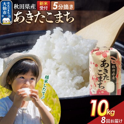 定期便8ヶ月 5分搗き あきたこまち 10kg 秋田県産 令和8年産|22_kml-051008s