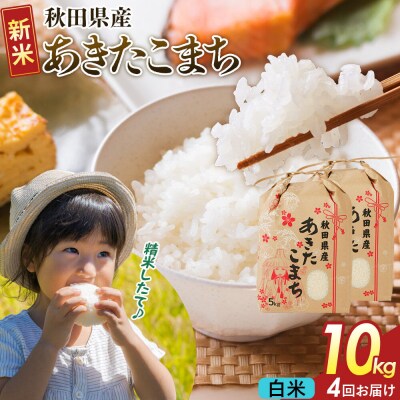 定期便4ヶ月 白米  あきたこまち 10kg  R8年|22_kml-061004s