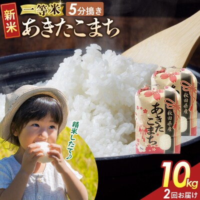 定期2ヶ月 5分搗き あきたこまち 一等米 10kg 秋田県 R8年|22_kml-051002s