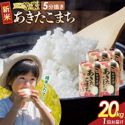 5分搗き あきたこまち 一等米 20kg 秋田県 R8年|22_kml-052001s