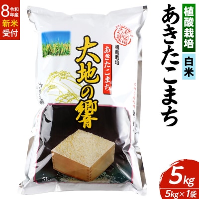 ＜R8年産＞米 植酸栽培 あきたこまち「大地の響」5kg【白米】|22_aks-210501s