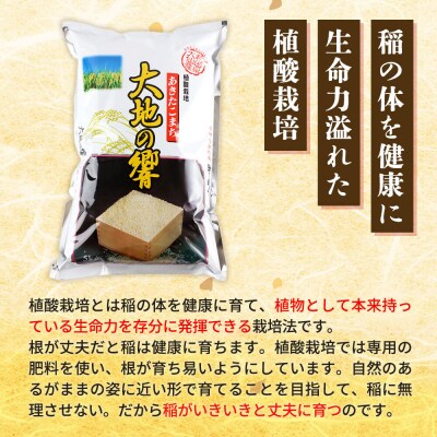 R8年産《定期便3ヶ月》植酸栽培 あきたこまち「大地の響」5kg 白米|22_aks-210503s