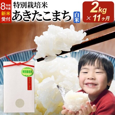 令和8年産 新米 定期便11ヶ月 特別栽培米 あきたこまち 2kg|22_oks-110211s