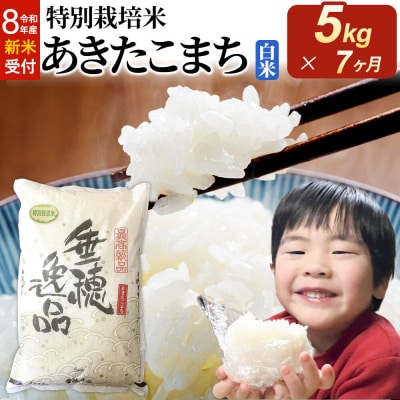 令和8年産 新米 定期便7ヶ月 特別栽培米 あきたこまち 5kg|22_oks-110507s