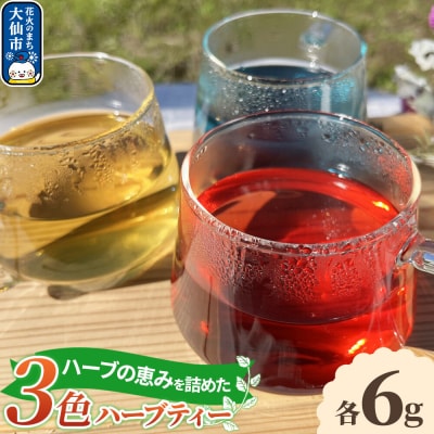 ハーブティー 3色のハーブティー 秋田県 大仙市 キチエン|22_kie-010101