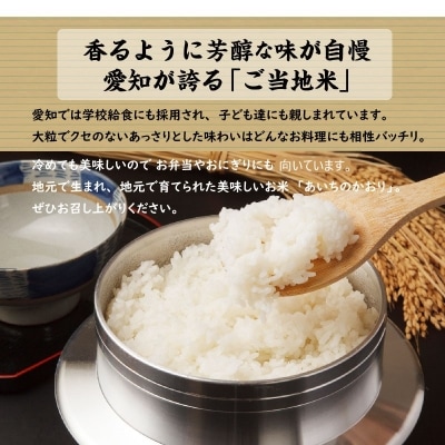 愛知県産　あいちのかおり10kg　H017-099