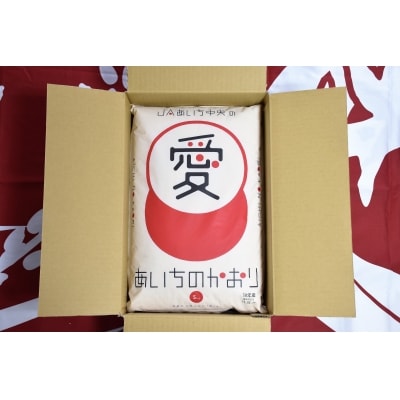 愛知県産　あいちのかおり10kg　H017-099