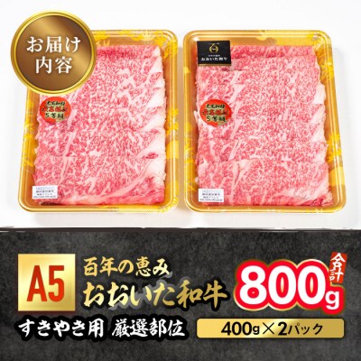 百年の恵み おおいた和牛 A5 すき焼用 厳選部位 (800g) 