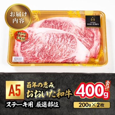 百年の恵み おおいた和牛 A5 ステーキ用 厳選部位 (計400g・200g×2枚)  