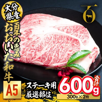百年の恵み おおいた和牛 A5 ステーキ用 厚切り 厳選部位 (計600g・300g×2枚) 