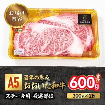 百年の恵み おおいた和牛 A5 ステーキ用 厚切り 厳選部位 (計600g・300g×2枚) 
