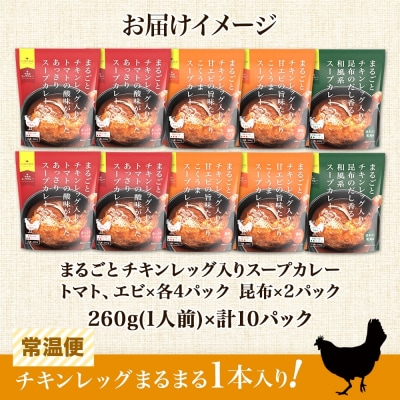 まるごと チキンレッグスープカレー 3種セット 計10パック_hs299-031