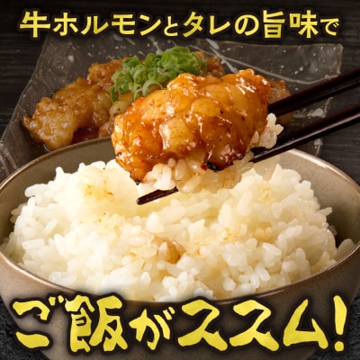 総重量3kg!牛みそホルモン ひとくちカット_hs150-003