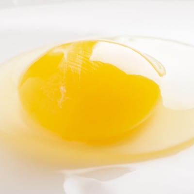 平飼い有精卵『たつかの恵み』40個× 5ヶ月連続お届け SBTT004