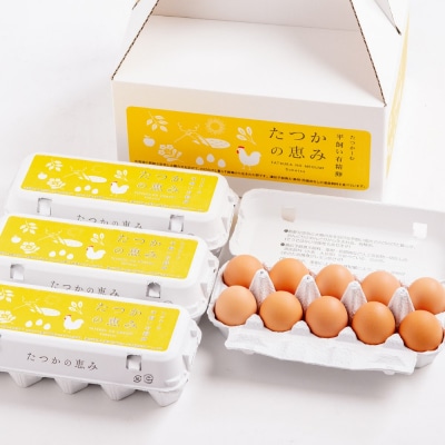 平飼い有精卵『たつかの恵み』40個× 5ヶ月連続お届け SBTT004