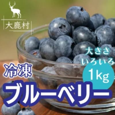 大きさいろいろ冷凍ブルーベリー 1kg