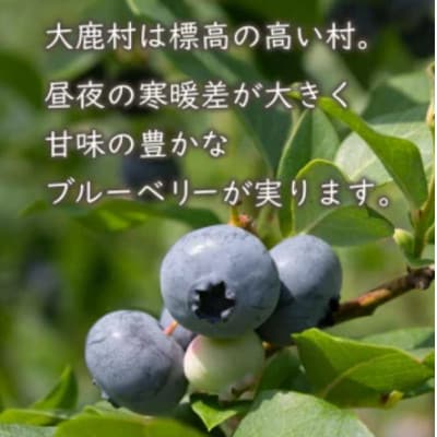 大きさいろいろ冷凍ブルーベリー 1kg