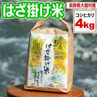 はざかけ米(令和7年度産米)4kg 　白米