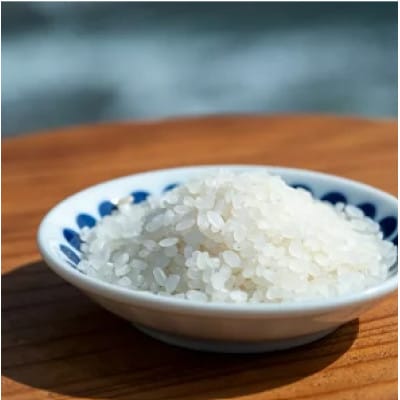 はざかけ米(令和7年度産米)4kg 　白米