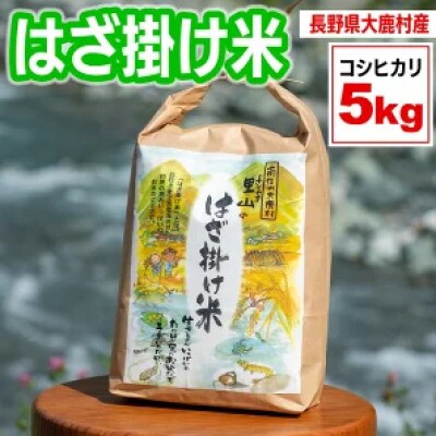 はざかけ米(令和7年度産米)5kg 白米