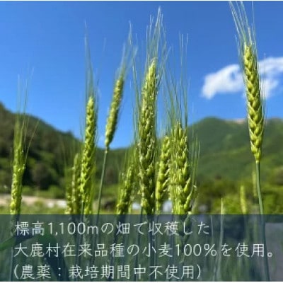 全粒粉100%!山うどん 1200g(200g×6袋)