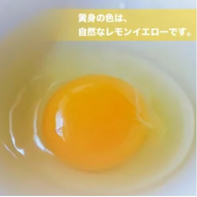 おーはし農園の平飼い有精卵  36個(6個×6パック)