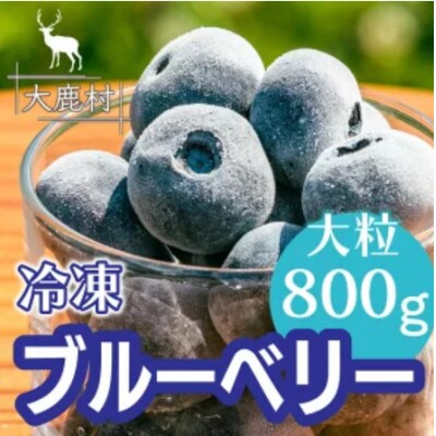 冷凍ブルーベリー大粒 800g