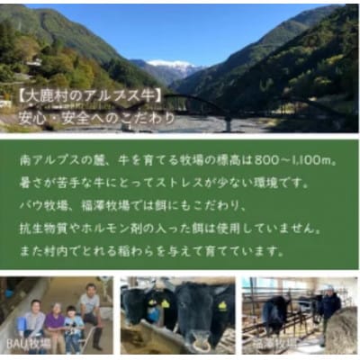 アルプス牛　BAU牧場　安全安心の牛肉セット