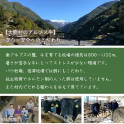 アルプス牛　BAU牧場　安全安心の牛肉ミンチ　合計340g(170g×2)