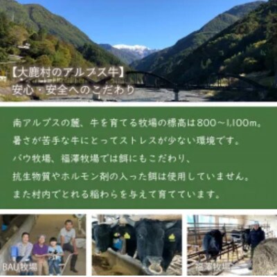 アルプス牛　BAU牧場　安全安心の牛肉セット(ロースステーキ 250g・ゆず胡椒 60g)