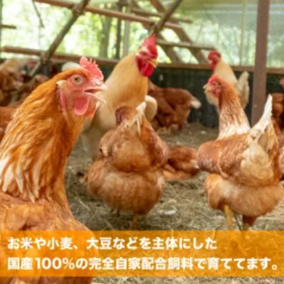 季節の青果と有精卵のセット