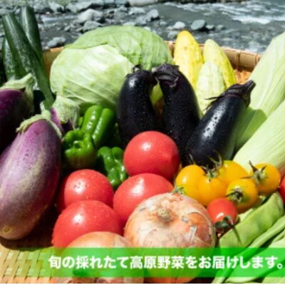 季節の青果(15袋～20袋) ※7月～10月頃までの発送