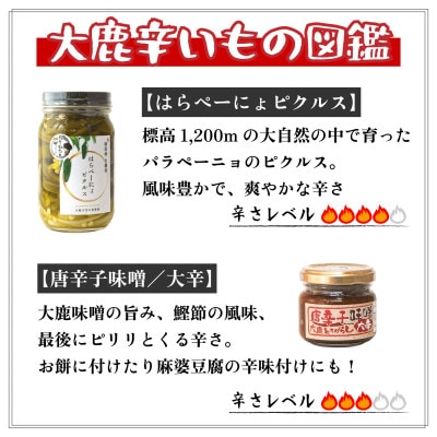 辛いもの一家　6種類