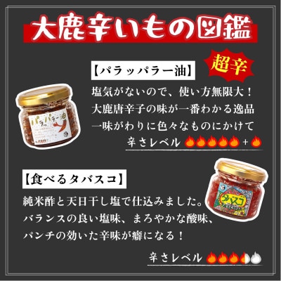 辛いもの一家　6種類