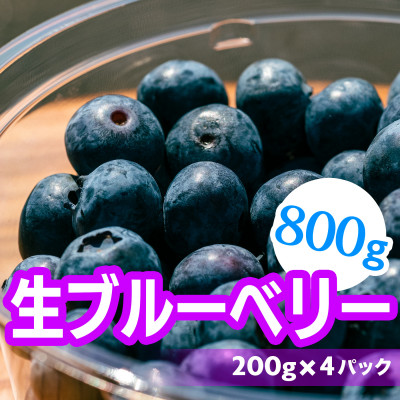 生ブルーベリー800g(200g×4)