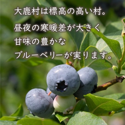 生ブルーベリー800g(200g×4)