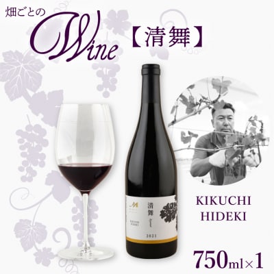 北海道十勝芽室町 清舞【KIKUCHI HIDEKI】 me032-066c