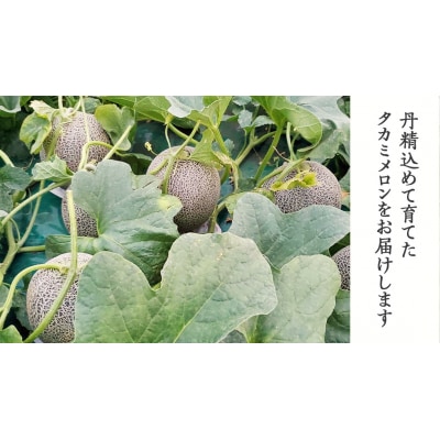 【先行受付2026年6月上旬以降発送】八千代町産 タカミメロン 2玉 約3.5kg[AX039ya]