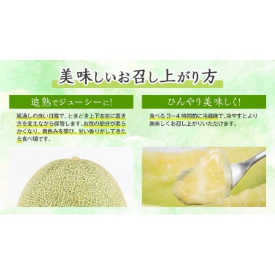 【先行受付2026年6月上旬以降発送】八千代町産 タカミメロン 2玉 約3.5kg[AX039ya]